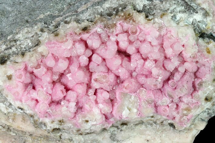 Cobaltoan Calcite Crystal Cluster - Bou Azzer, Morocco #161168